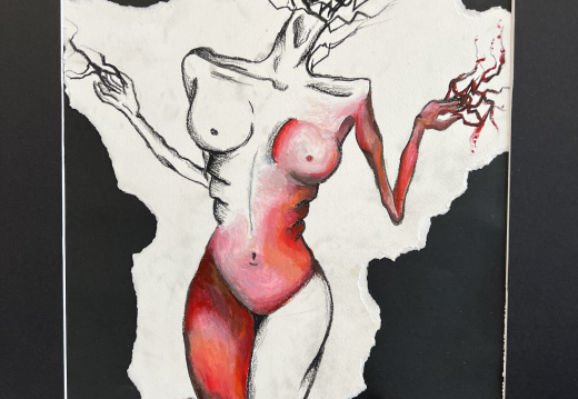 Year 11 Studio Arts