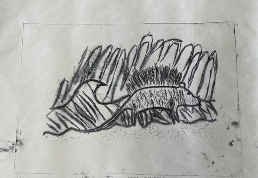 Year 9 Dry Point Etching